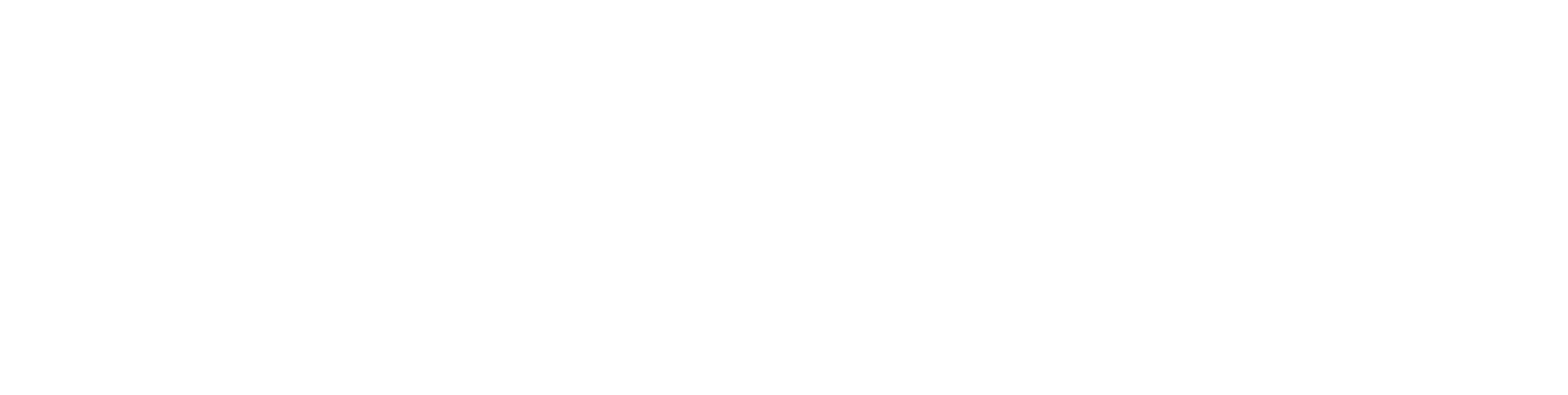 Logo Solutions-expertises